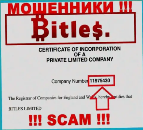 Номер регистрации интернет-мошенников Битлес, с которыми не советуем иметь дело - 11975430