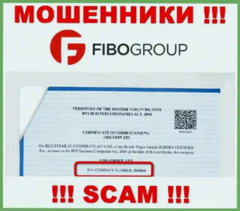 Регистрационный номер незаконно действующей компании ФибоГрупп - 549364