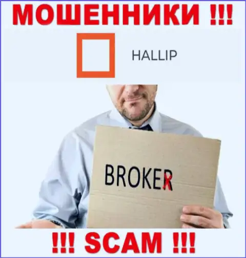 Тип деятельности мошенников Hallip - это Брокер, однако знайте это обман !!!
