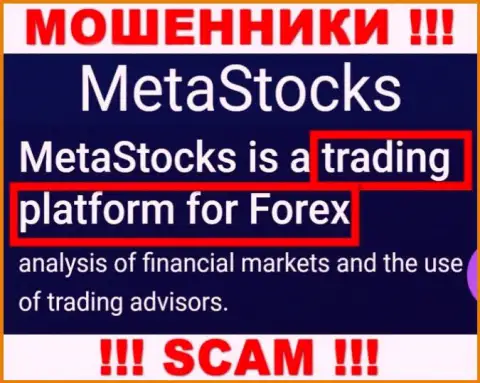 Деятельность internet-мошенников Meta Stocks: Торговая платформа - это ловушка для неопытных людей