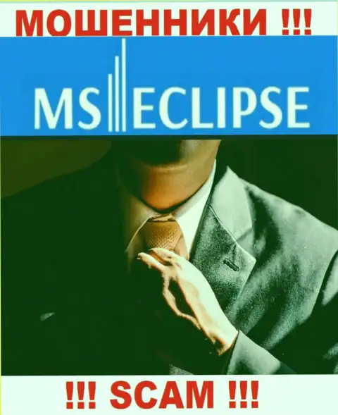 Данных о лицах, руководящих MSEclipse в сети Интернет отыскать не получилось