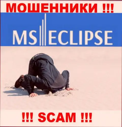С MSEclipse довольно-таки рискованно работать, потому что у организации нет лицензии на осуществление деятельности и регулятора