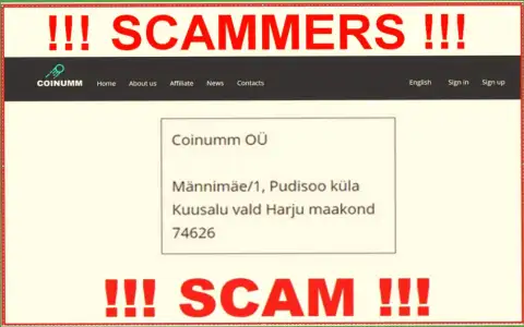 Coinumm Com thiefs company address