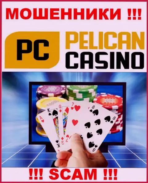 Пеликан Казино оставляют без средств малоопытных клиентов, прокручивая делишки в области - Интернет-казино