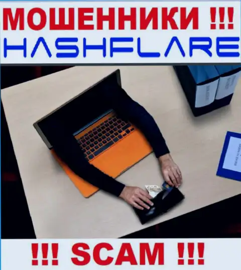 Вся деятельность HashFlare LP ведет к надувательству трейдеров, т.к. они интернет-мошенники