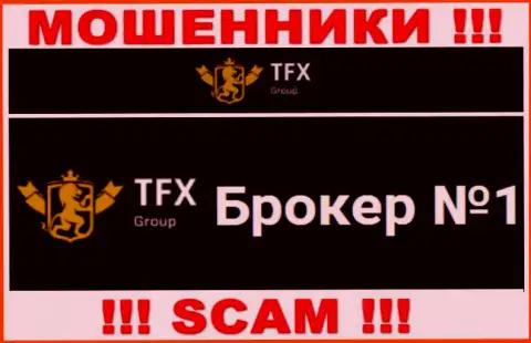 Не надо доверять вложения ТФХ Групп, так как их сфера деятельности, Forex, обман
