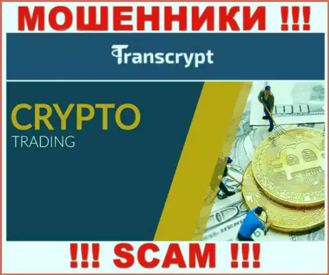 TransCrypt это мошенники !!! Сфера деятельности которых - Криптоторговля