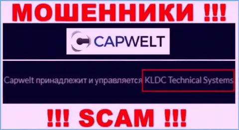 Юридическое лицо компании CapWelt Com - это КЛДЦ Техникал Системс, информация позаимствована с официального портала