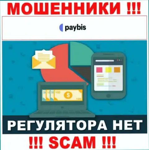 У PayBis Com на сайте не имеется сведений о регуляторе и лицензии компании, а следовательно их вовсе нет