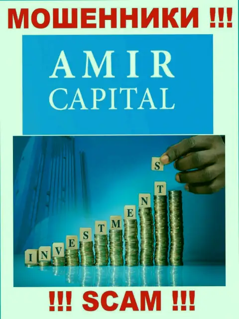 Не отдавайте средства в Amir Capital, род деятельности которых - Инвестирование