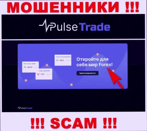 Pulse Trade, работая в области - Форекс, грабят своих доверчивых клиентов