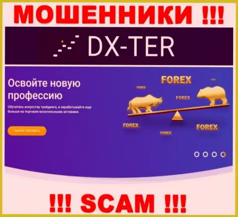 С организацией DX Ter сотрудничать не советуем, их вид деятельности Forex это разводняк