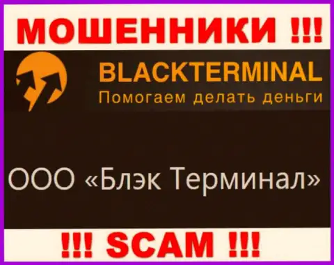 На официальном информационном сервисе BlackTerminal написано, что юридическое лицо организации - ООО Блэк Терминал