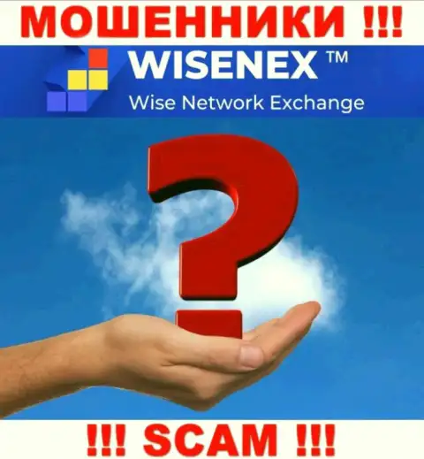 Узнать кто именно является непосредственным руководством организации WisenEx Com не представилось возможным, эти разводилы промышляют обманом, поэтому свое руководство скрыли
