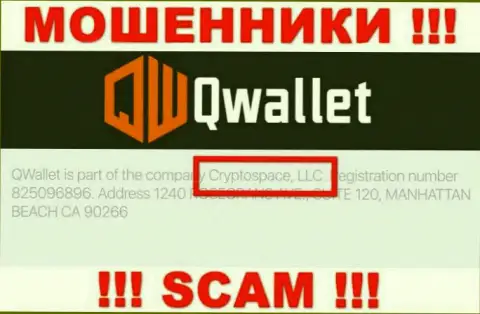 На официальном информационном портале Q Wallet сказано, что данной конторой руководит Cryptospace LLC