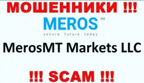 Компания, владеющая аферистами MerosTM - это MerosMT Markets LLC