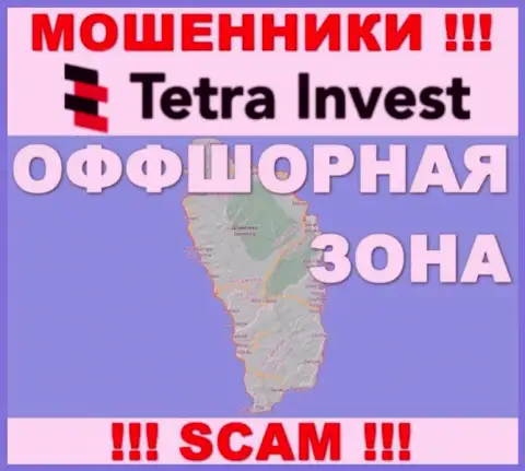 В компании Tetra Invest спокойно обманывают лохов, поскольку базируются в офшоре на территории - Dominica