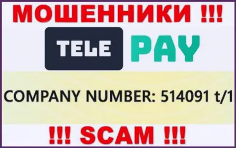 Номер регистрации TelePay, который указан жуликами на их веб-сервисе: 514091 t/1