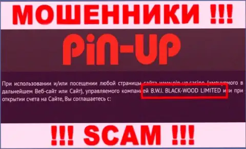 Лохотронщики Pin Up Casino принадлежат юридическому лицу - B.W.I. BLACK-WOOD LIMITED