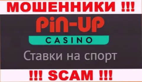 Основная деятельность PinUp Casino - это Casino, будьте осторожны, действуют противозаконно
