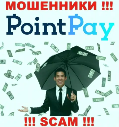 Не загремите в грязные руки интернет мошенников PointPay Io, депозиты не увидите