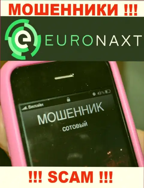 Вас хотят раскрутить на деньги, EuroNaxt Com в поисках очередных жертв