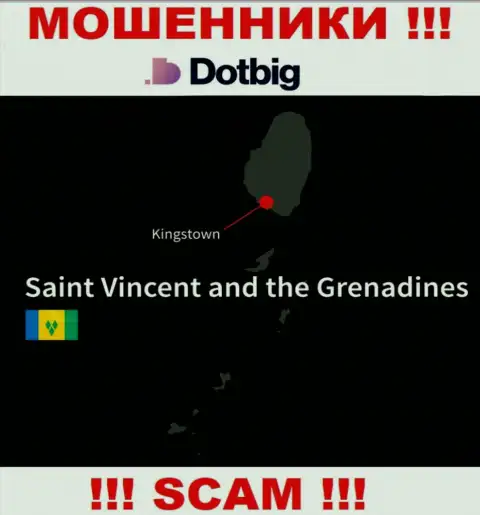 Dot Big имеют оффшорную регистрацию: Kingstown, St. Vincent and the Grenadines - осторожно, махинаторы