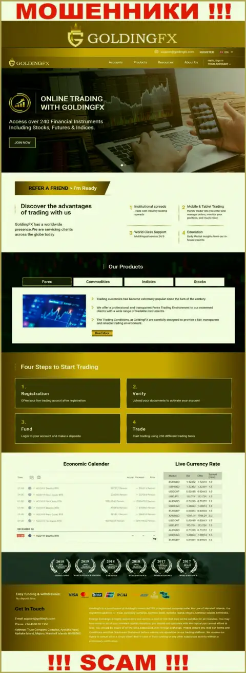 Официальный онлайн-ресурс ворюг ГолдингФХИкс, заполненный сведениями для лохов