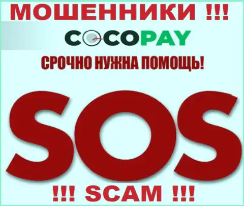 Можно еще попытаться забрать финансовые средства из компании Coco-Pay Com, обращайтесь, узнаете, как действовать
