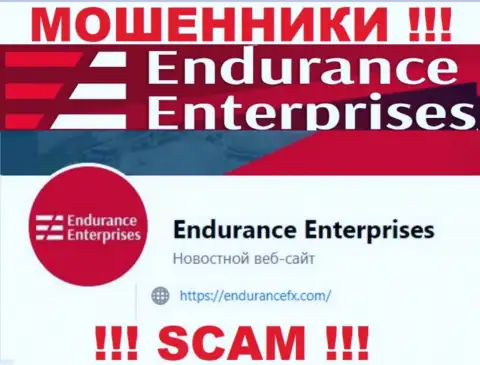 Установить связь с интернет мошенниками из конторы EnduranceEnterprises Вы можете, если отправите сообщение на их е-майл