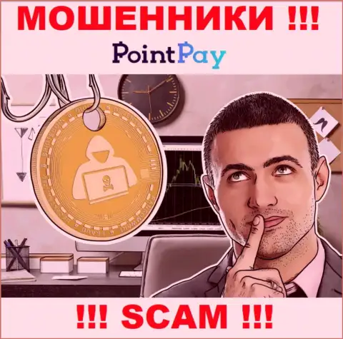 Point Pay - это internet-мошенники, которые склоняют доверчивых людей сотрудничать, в итоге оставляют без средств