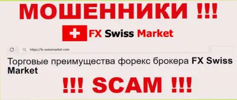 Направление деятельности ФХ СвиссМаркет: ФОРЕКС - отличный доход для интернет обманщиков