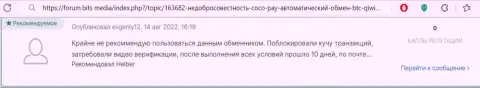 Мошенники Coco Pay оставляют без средств собственных клиентов, именно поэтому не сотрудничайте с ними (правдивый отзыв)