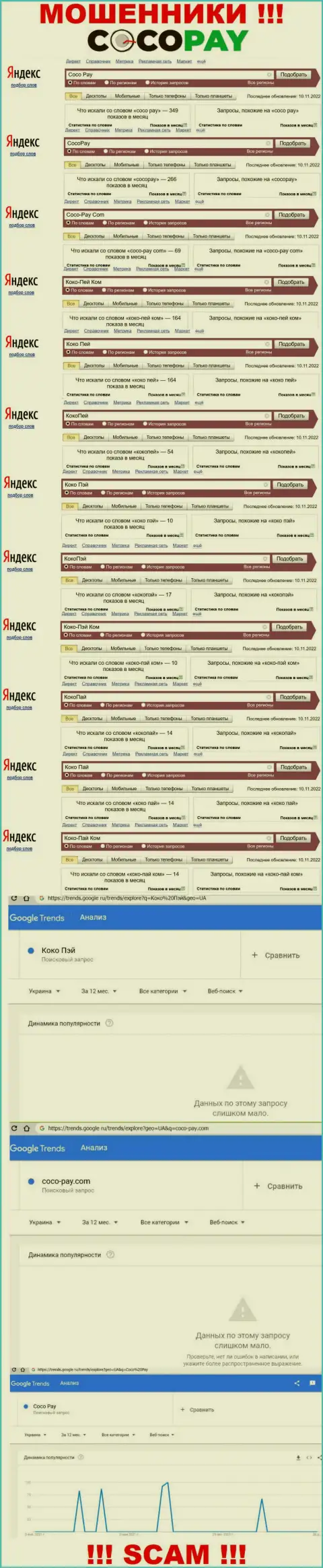 Сколько раз посетители глобальной интернет сети пытались найти инфу о мошенниках КокоПай ?
