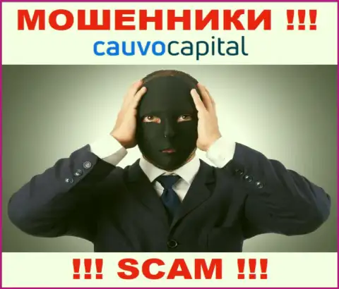 Чтоб не отвечать за свое разводилово, Cauvo Capital не разглашают информацию о прямом руководстве