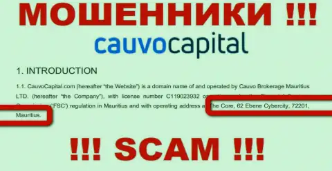 Нереально забрать деньги у компании Cauvo Brokerage Mauritius LTD - они сидят в офшорной зоне по адресу Коре, 62 Эбене Киберсити, 72201, Маврикий