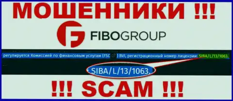 Помните, Fibo-Forex Ru - это чистой воды жулики, а лицензия на их онлайн-сервисе это только ширма