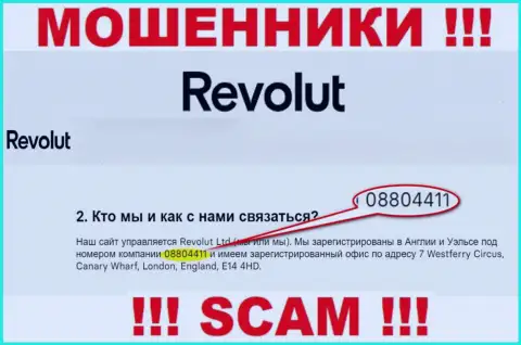 Будьте очень осторожны, наличие регистрационного номера у компании Revolut (08804411) может оказаться ловушкой